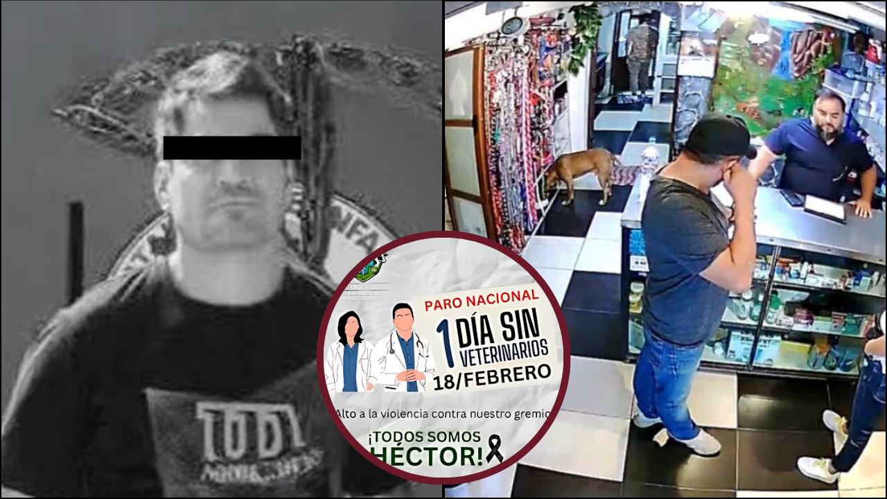 Paro nacional de veterinarios.