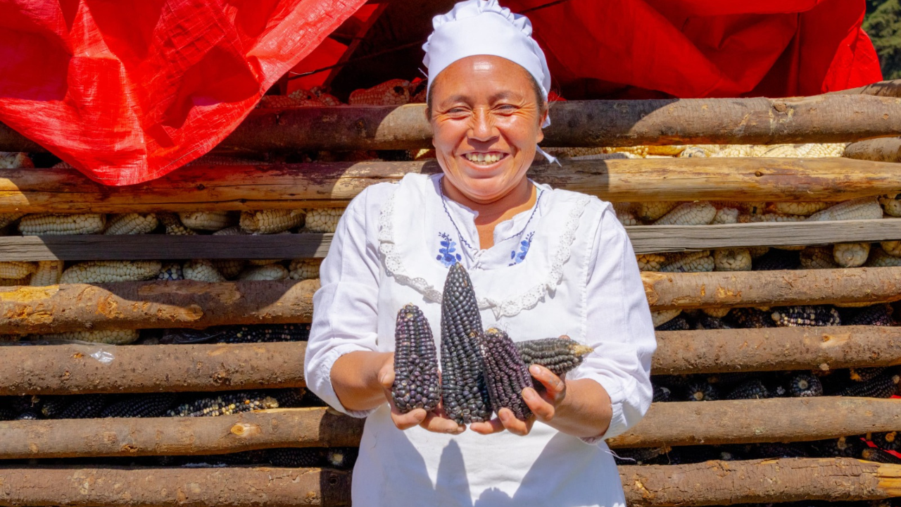 Tamales de maíz azul.