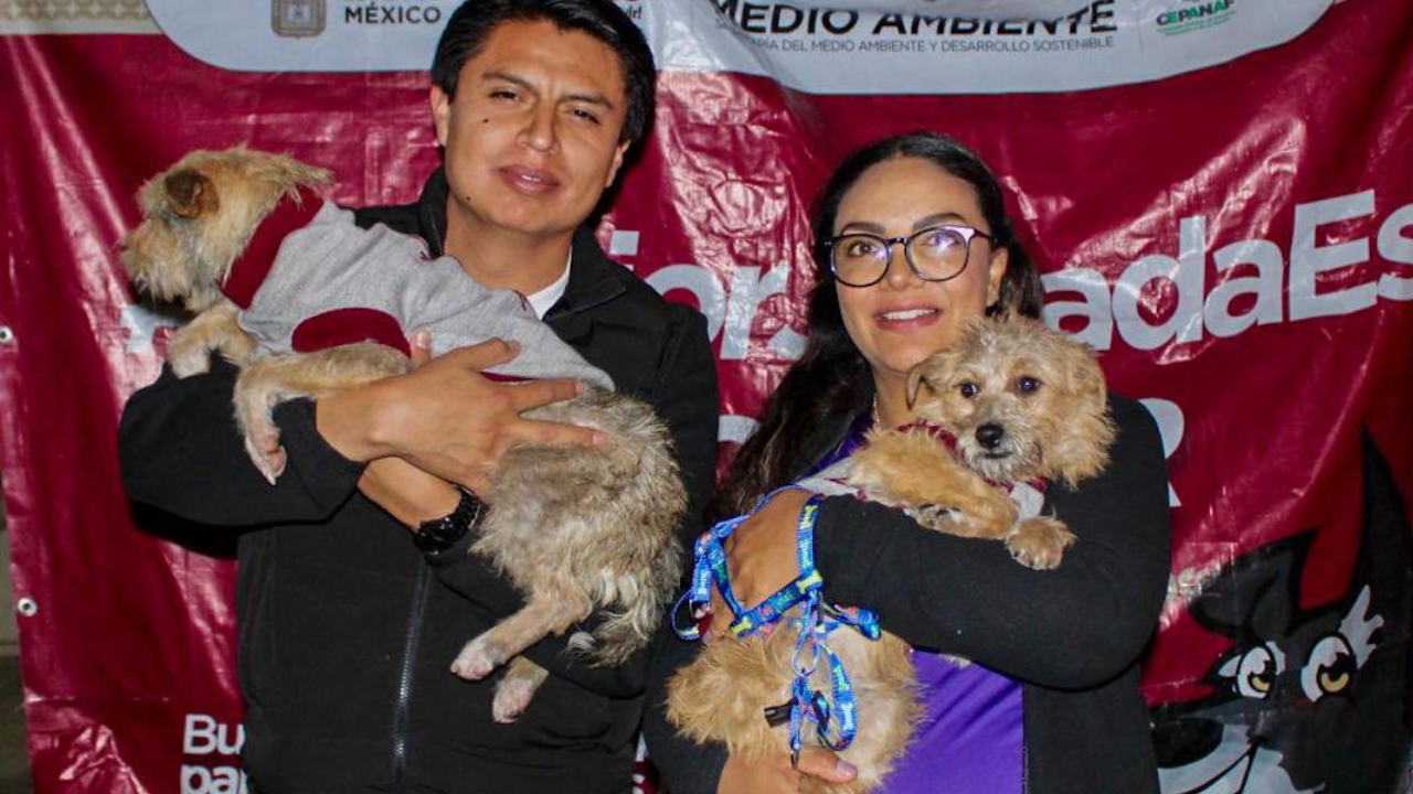 Adopción de perritos