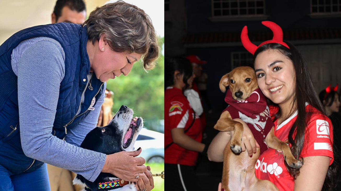 Toluca y Edoméx promueven adopción de lomitos en la final