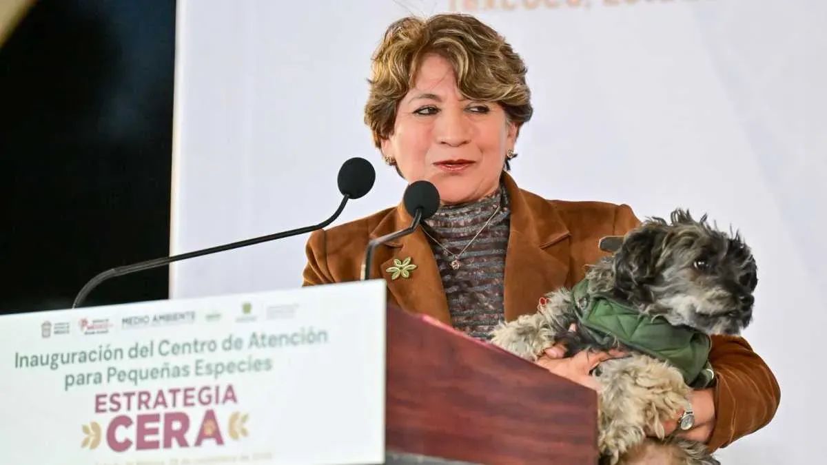 GEM implementa estrategia CERA contra maltrato y abandono animal
