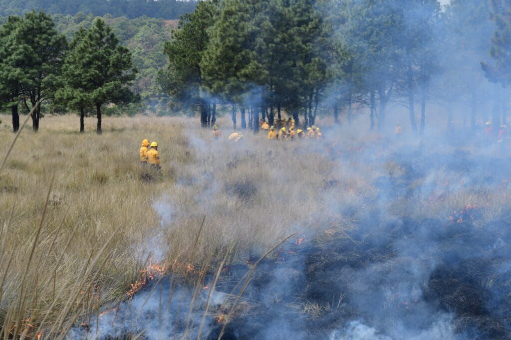Disminuyen 52% incendios forestales en Edomex