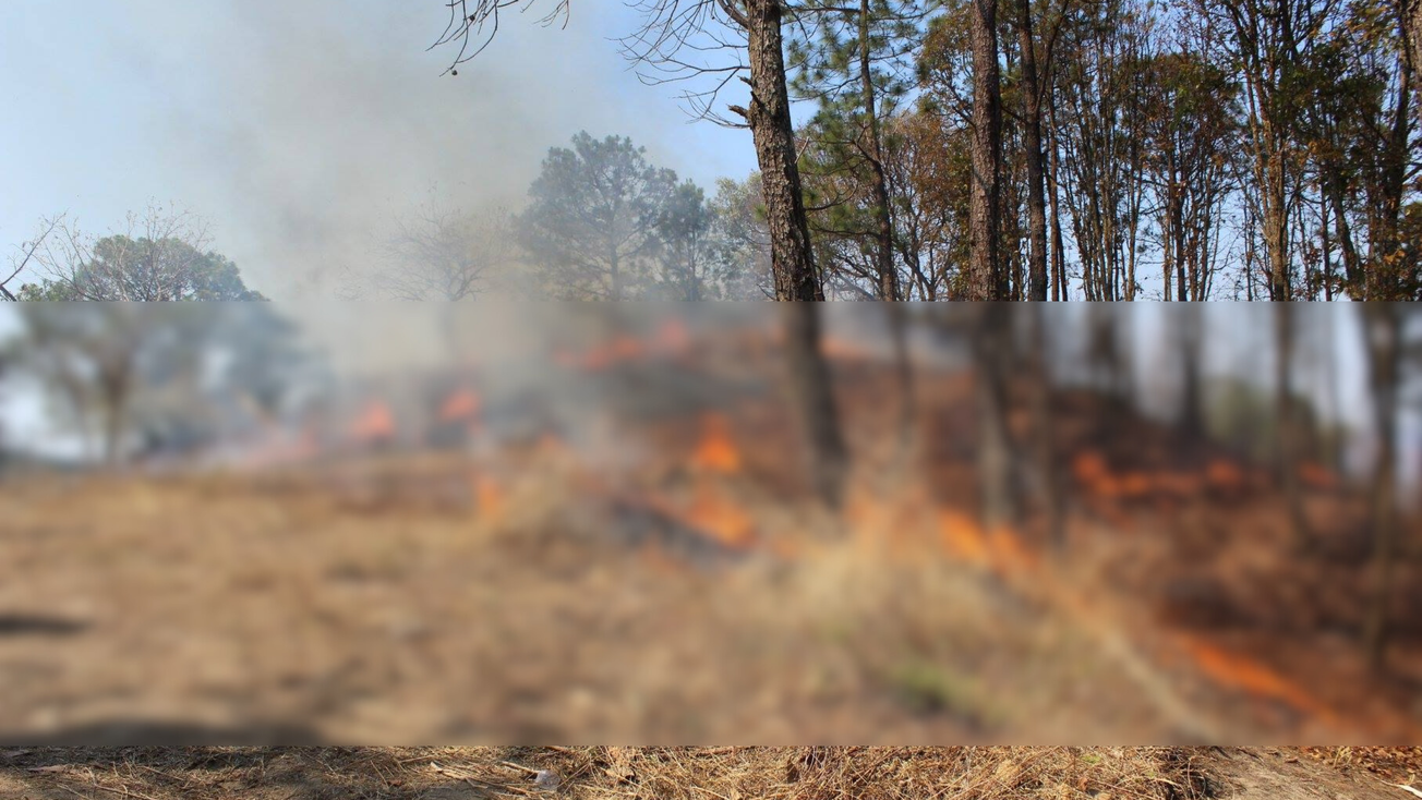 Informa GEM disminución de incendios forestales en Edomex