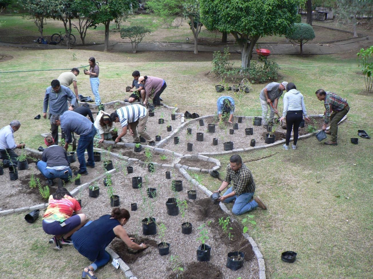 Crean 315 jardines para polinizadores en Edomex