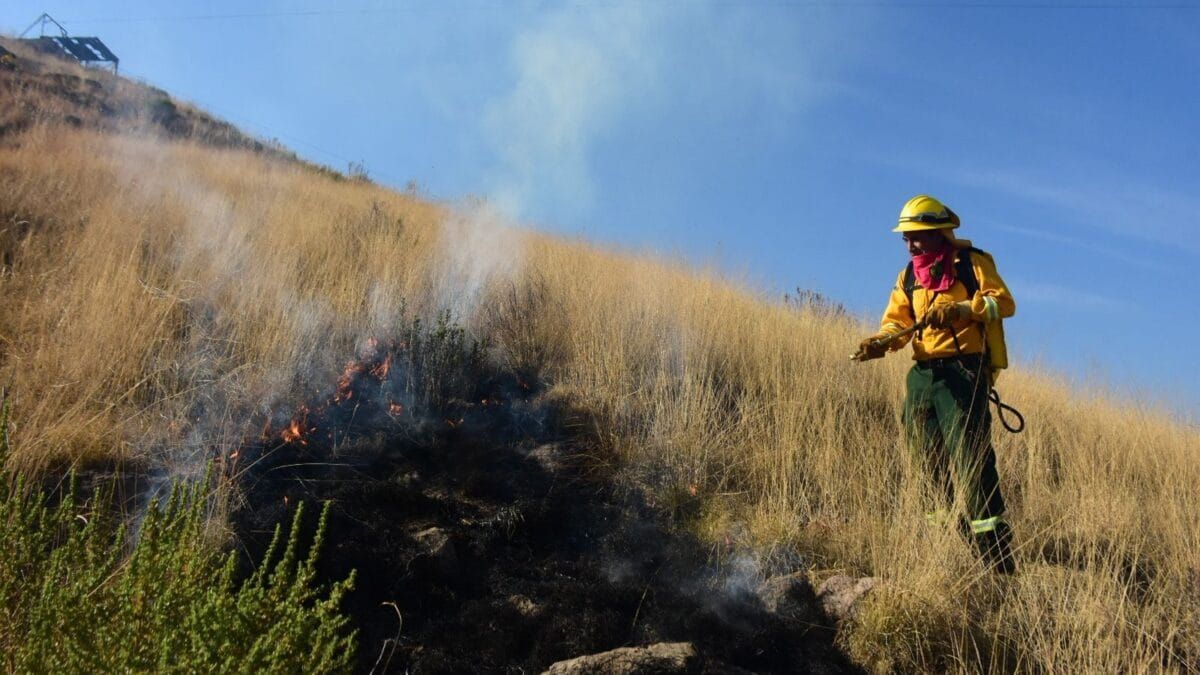 Refuerza Edomex vigilancia para prevenir incendios forestales en Semana Santa