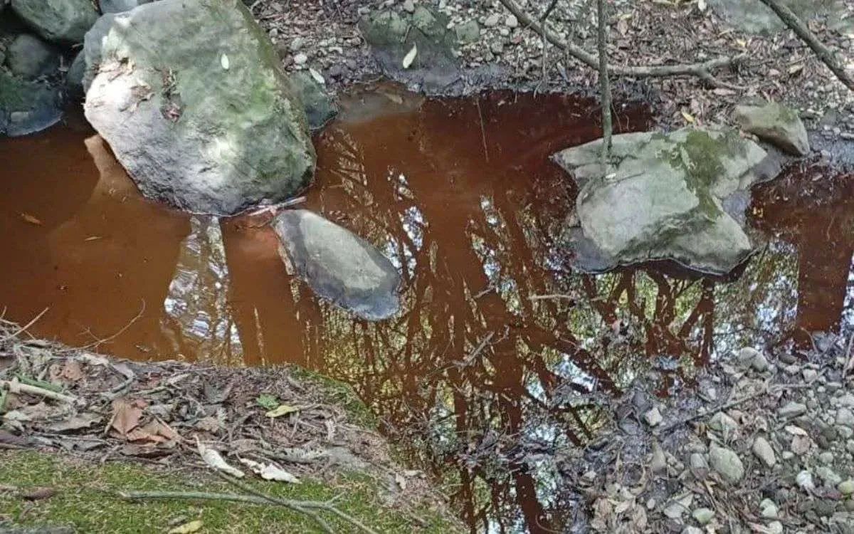 GEM atiende contaminación de agua en la Magdalena Chichicaspa