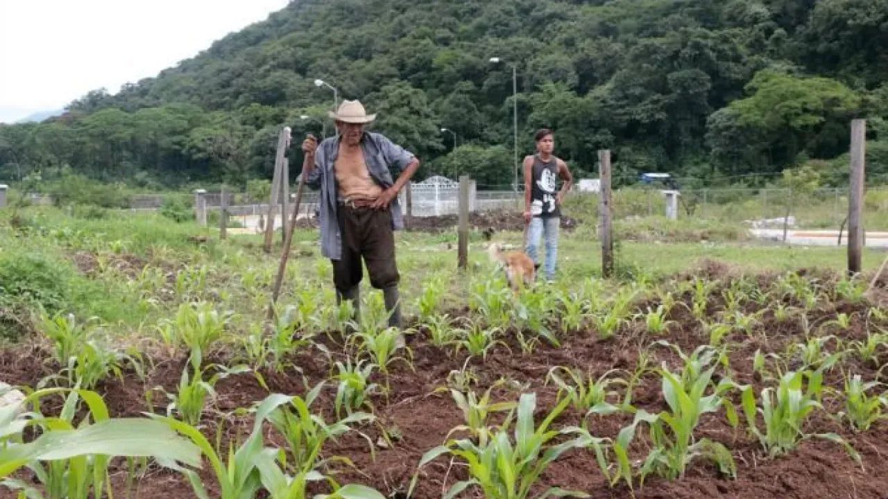 Lluvias adelantadas favorecen al campo mexiquense