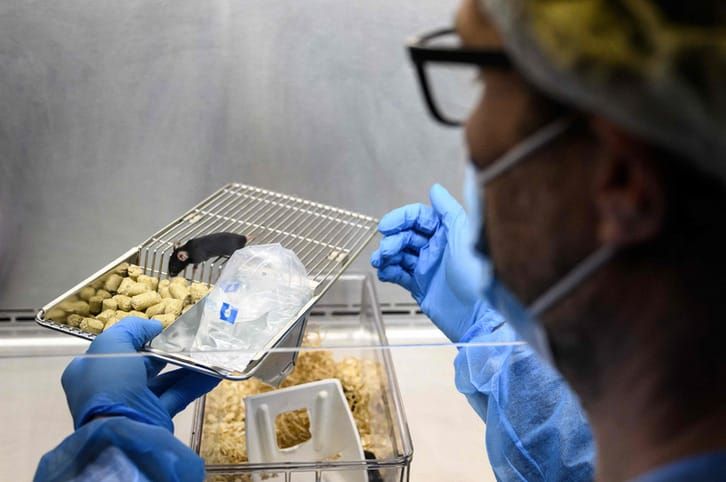Prohíbe Edomex experimentación con animales en escuelas