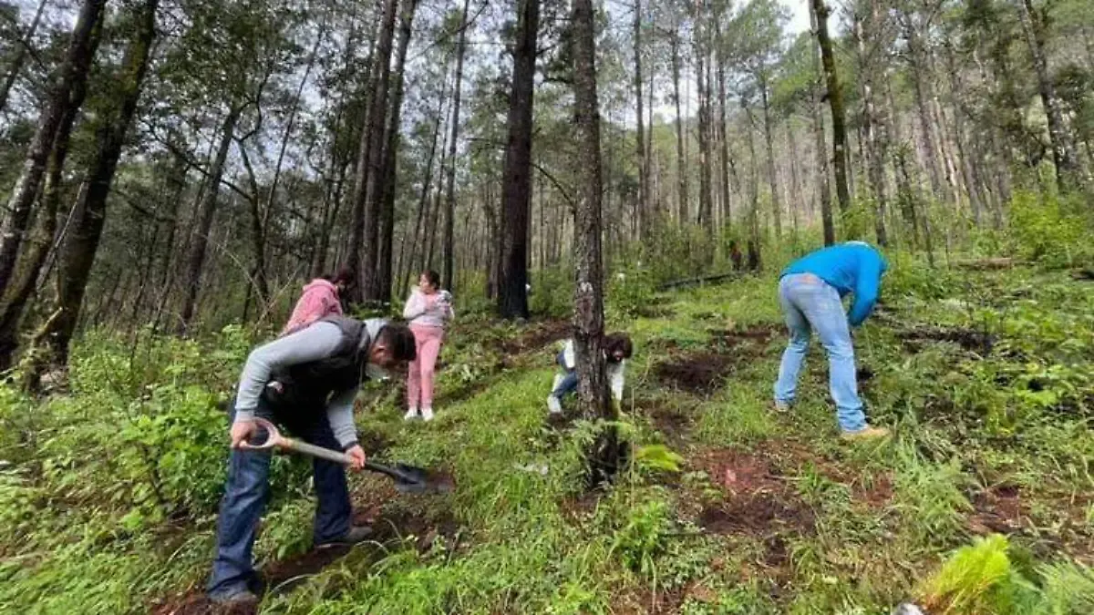 Reforzará Edomex búsqueda de personas desaparecidas en zonas forestales