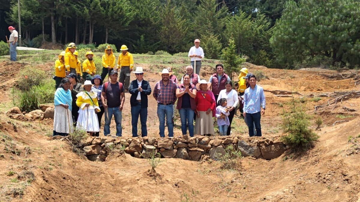 Alista Edomex restauración de zonas forestales