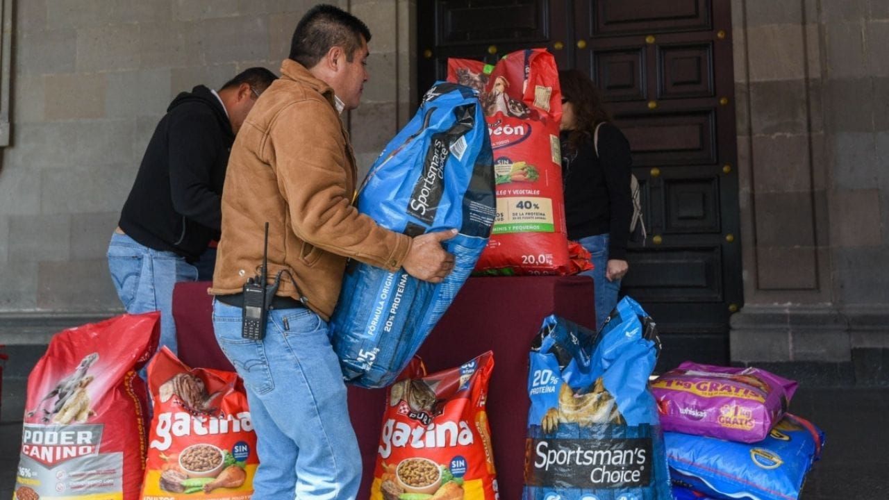 Croquetmanía Edomex para perros y gatos rescatados: qué se puede donar y hasta cuándo
