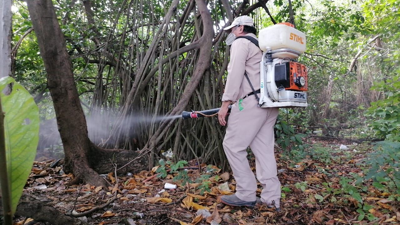 Mantiene Edomex control sobre casos de dengue por temporada de lluvias