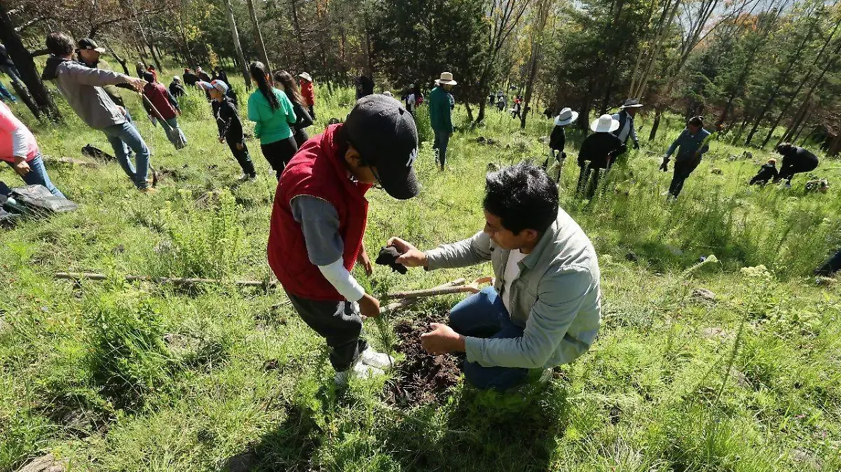 Bosque Escuela: Promueve Probosque cuidado y conservación de los bosques entre jóvenes