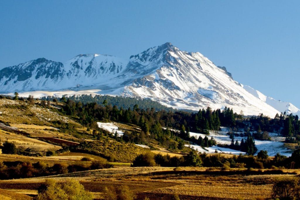 Tras 10 meses sin visitantes, Nevado de Toluca muestra recuperación en flora