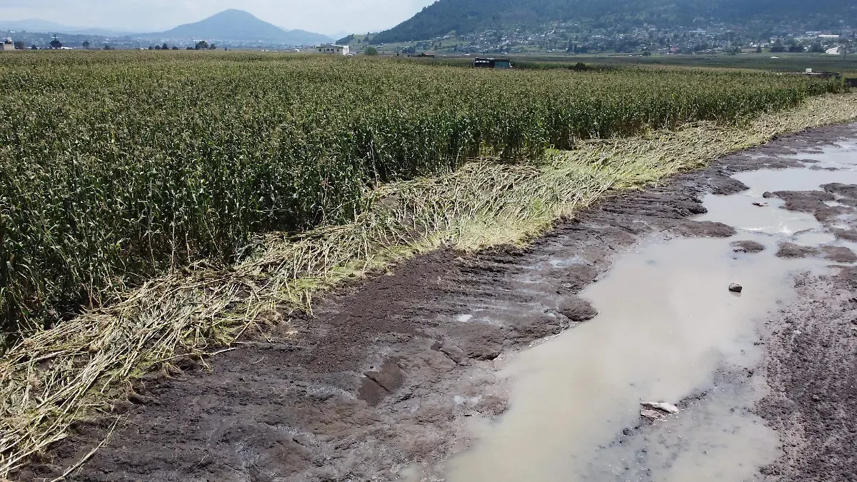 Afectan lluvias a 500 productores del Edomex