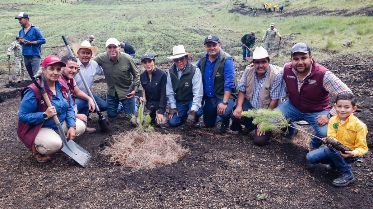 Agradecen respaldo de la gobernadora Delfina Gómez en restauración reforestal