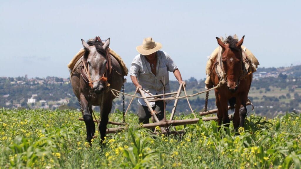 Entrega Edomex 125 mdp en apoyos para productores del campo