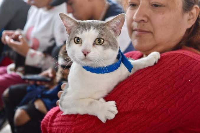 Ha brindado Edomex más de 19 mil servicios a través de la estrategia CERA