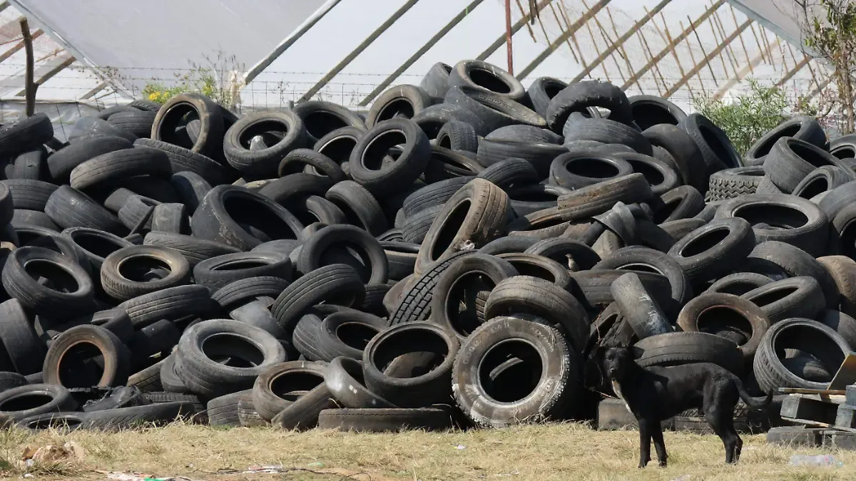 Recolecta Edomex 270 toneladas de llantas para reutilizarlas