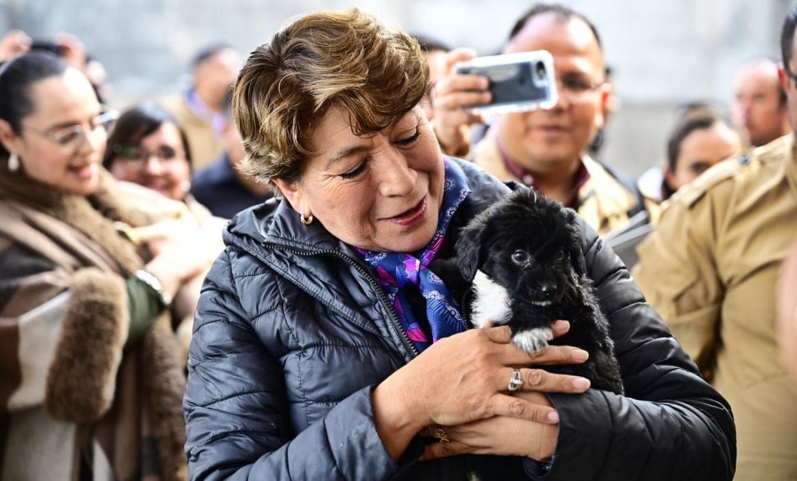 Invita Delfina Gómez a adoptar lomitos y michis