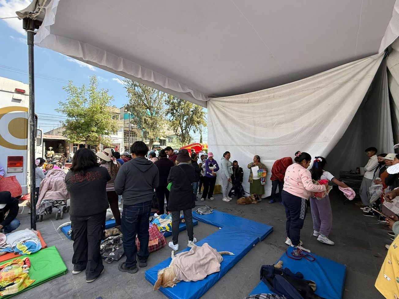 Megajornada de esterilización y vacunación en Toluca: fecha, lugar y recomendaciones