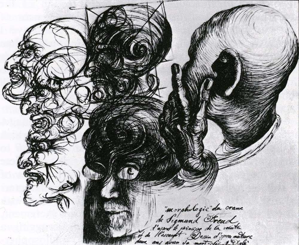 Morphological Echo of the Skull of Sigmund Freud