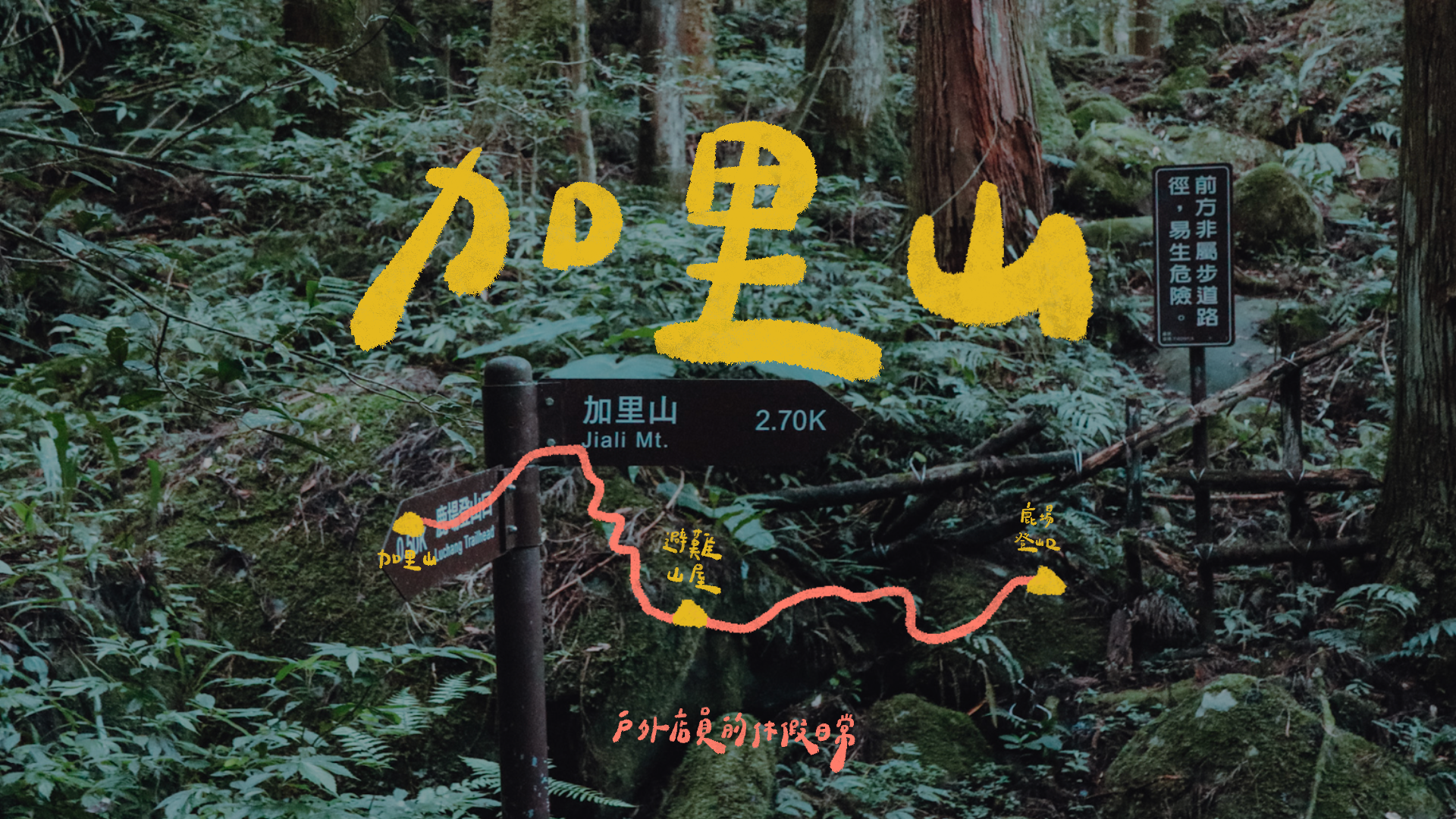 加里山｜一個人的山旅行⛰ / 被樹林包圍好浪漫🧡 / 渡溪攀繩一次獲得🤫