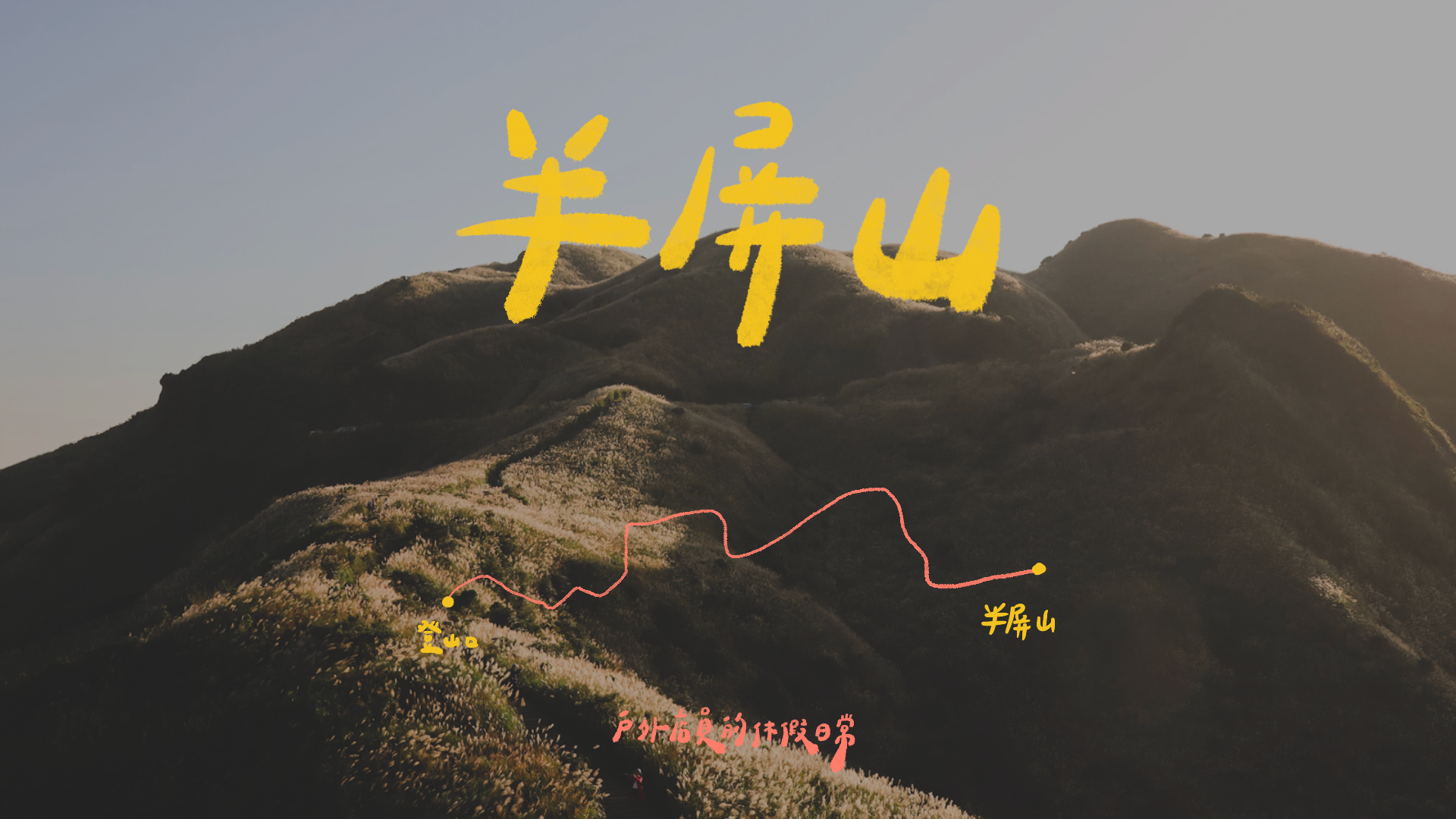 半屏山｜一個人的山旅行⛰ / 日落金黃色芒草🌾