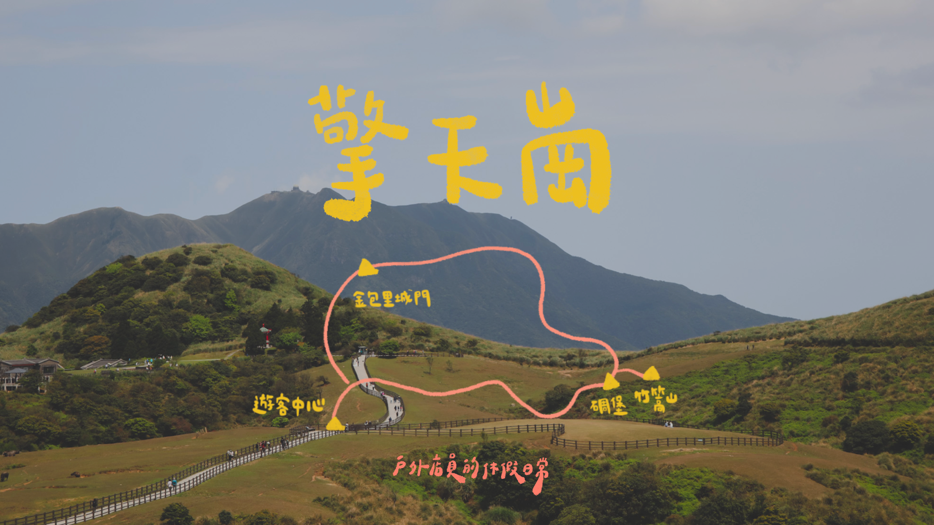 擎天崗大草原｜一個人的山旅行⛰ / 可愛水牛🐂 / 登頂竹篙山🌲