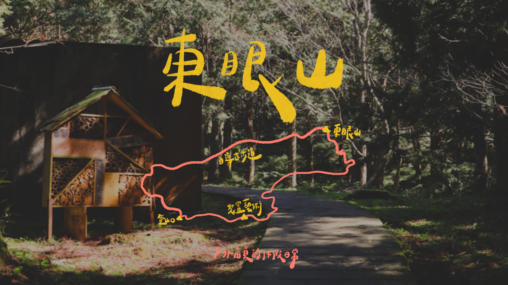 東眼山｜一個人的山旅行⛰ / 柳山林步道吸收芬多精🌲 / 攻頂超簡單😲