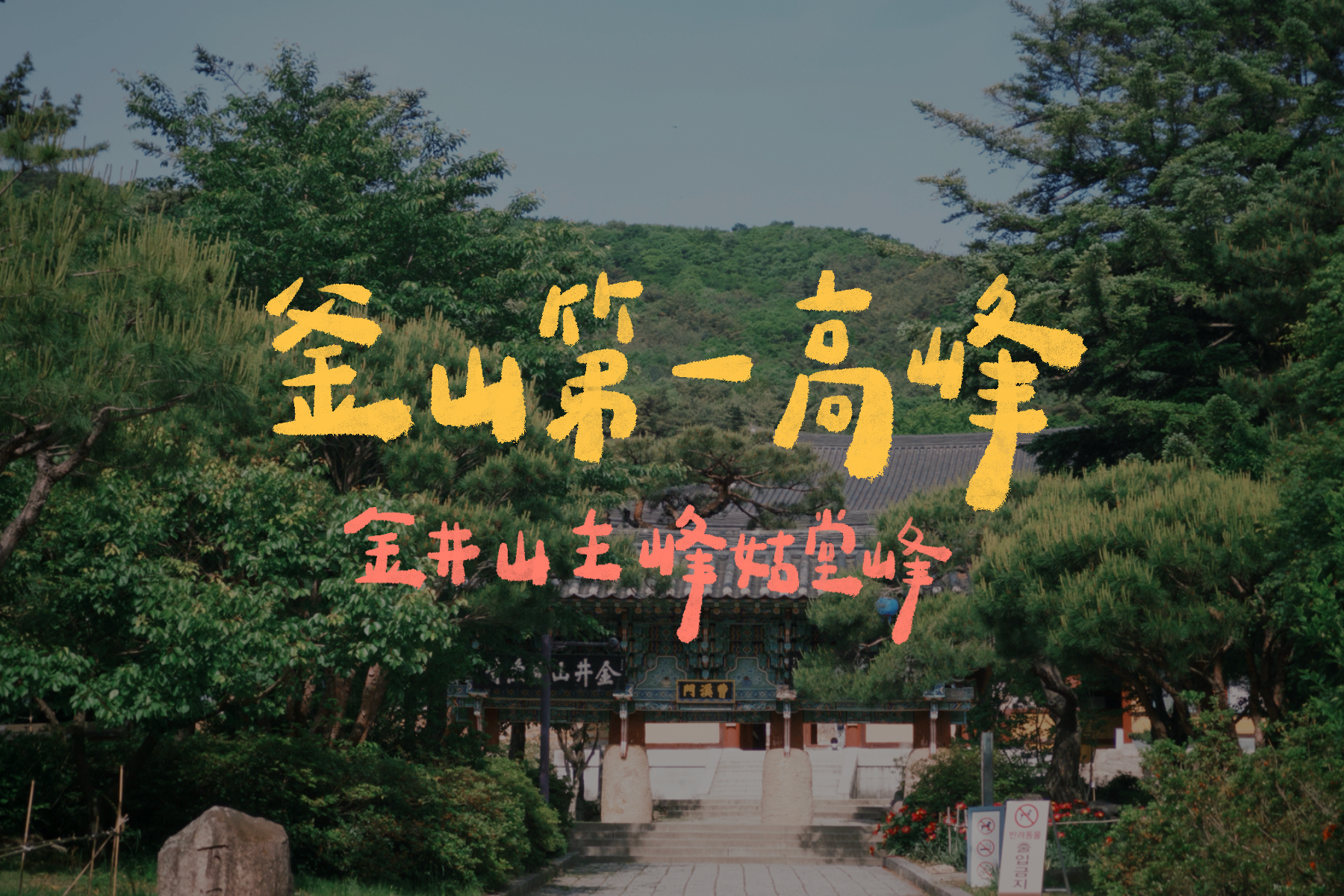 金井山姑堂峰｜釜山第一高峰🌸 / 一個人的山旅行⛰ / 金井山城北門超震撼⭐ / 360度山海美景🌳 /