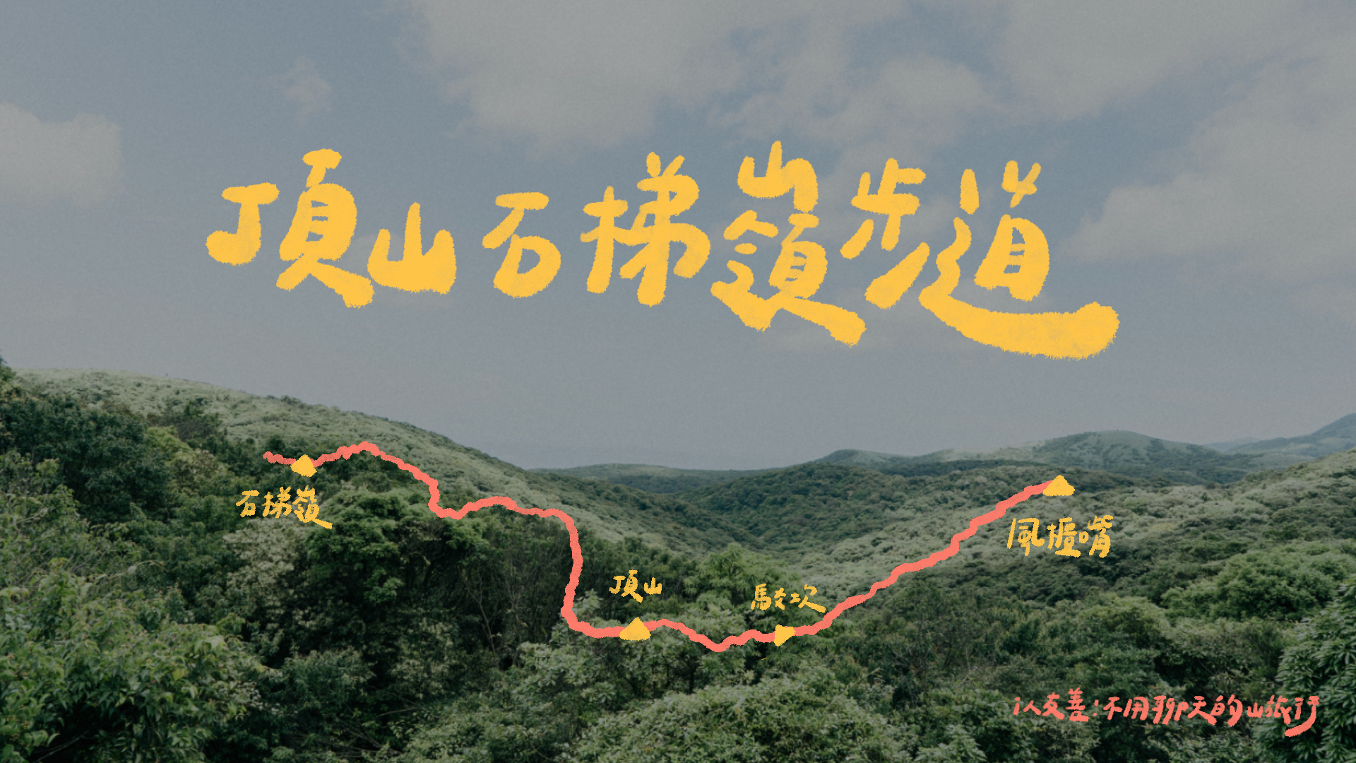 頂山石梯嶺輕健行｜從柳杉林到稜線草原，重新感受身體與山的節奏
