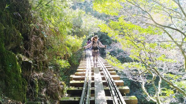 眠月線｜遺落的森林仙境鐵路