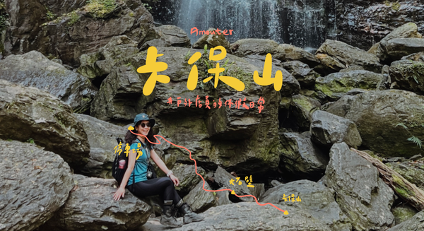 新北卡保山｜春暖花開🌸台灣一葉蘭