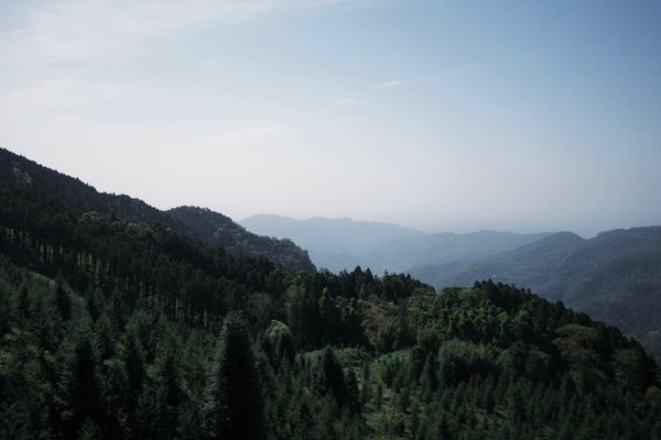 B計畫_羅山林道+三貂嶺