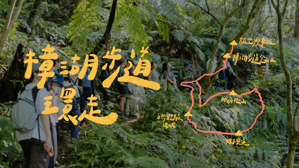 環走樟湖步道｜在山裡走一段剛剛好的 O 型，讓感官慢慢醒過來