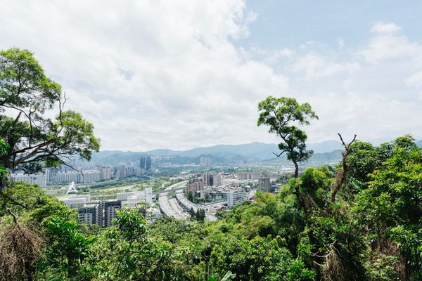 外挖子山｜從街區走進手作步道，重新認識城市裡的山