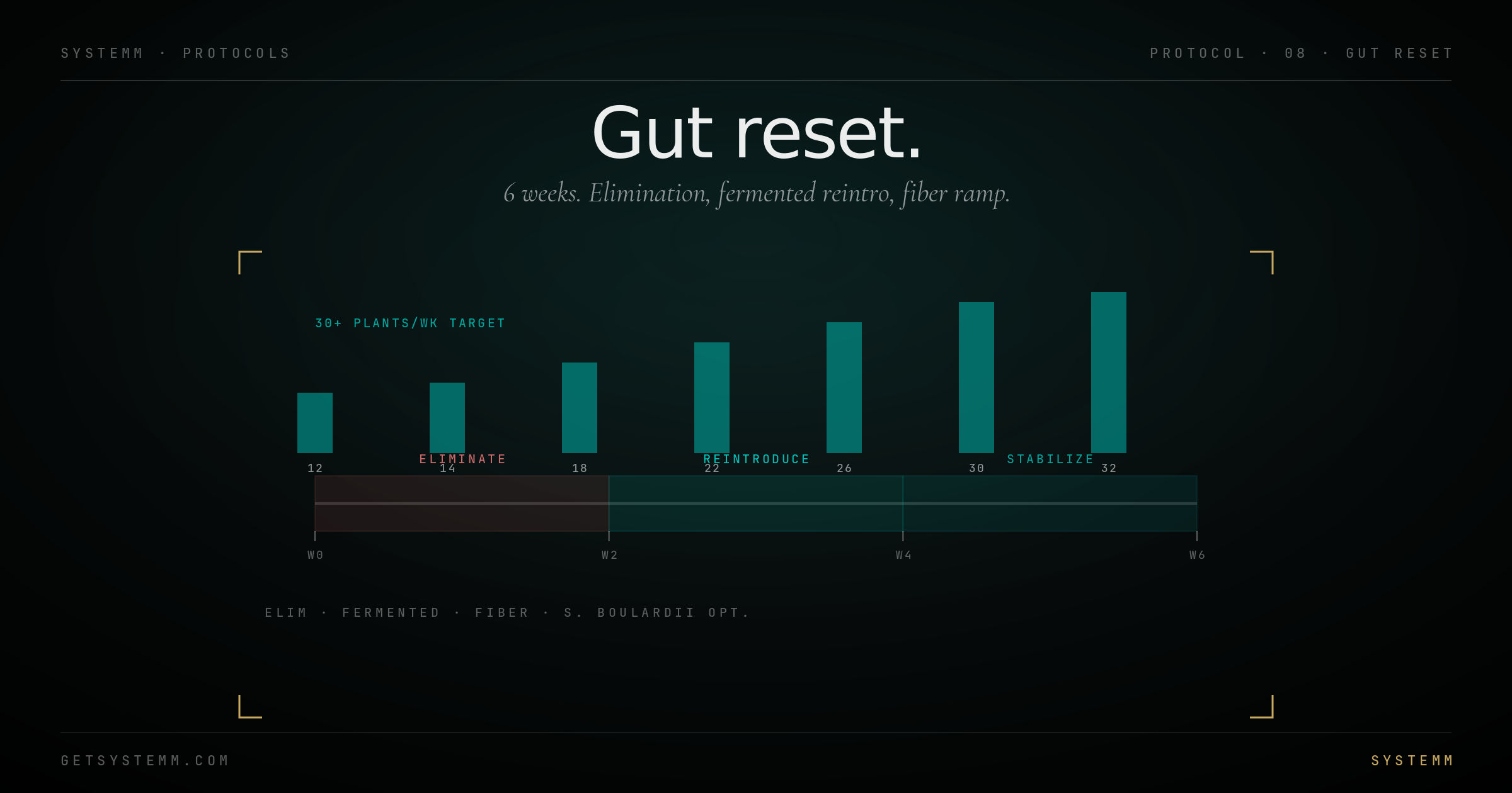 Gut Reset protocol diagram