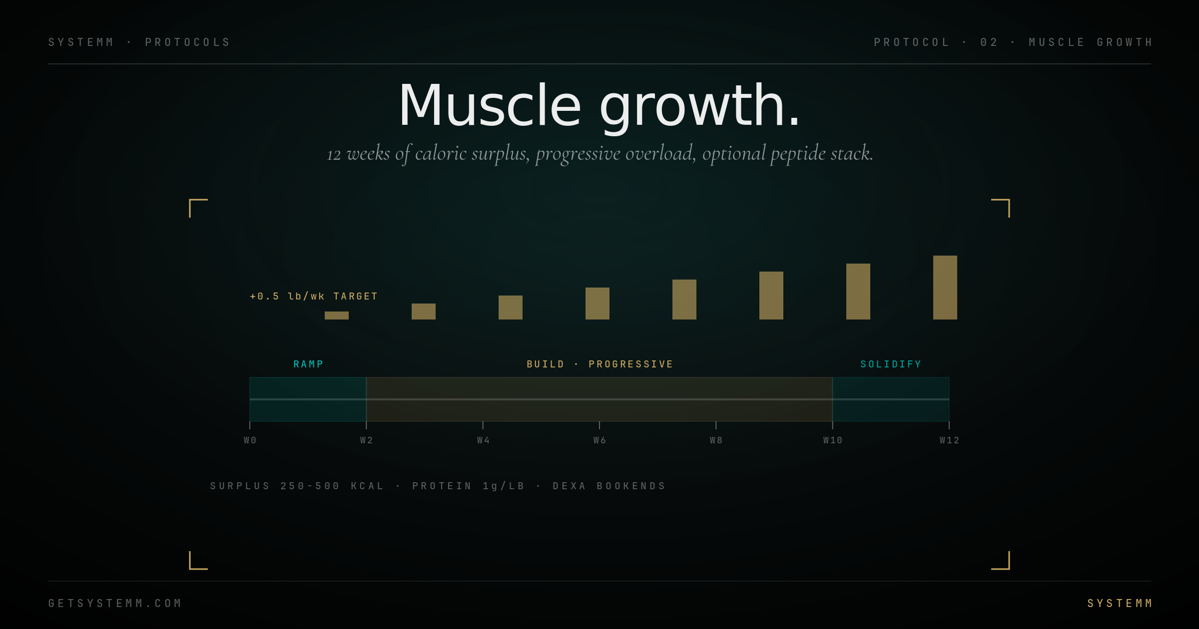Muscle Growth protocol diagram