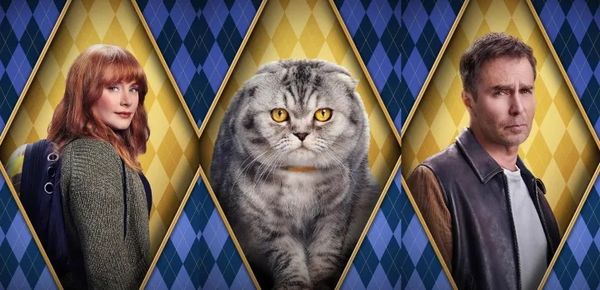 Pişik halaýanlar we garaňkydan gorkýanlar...