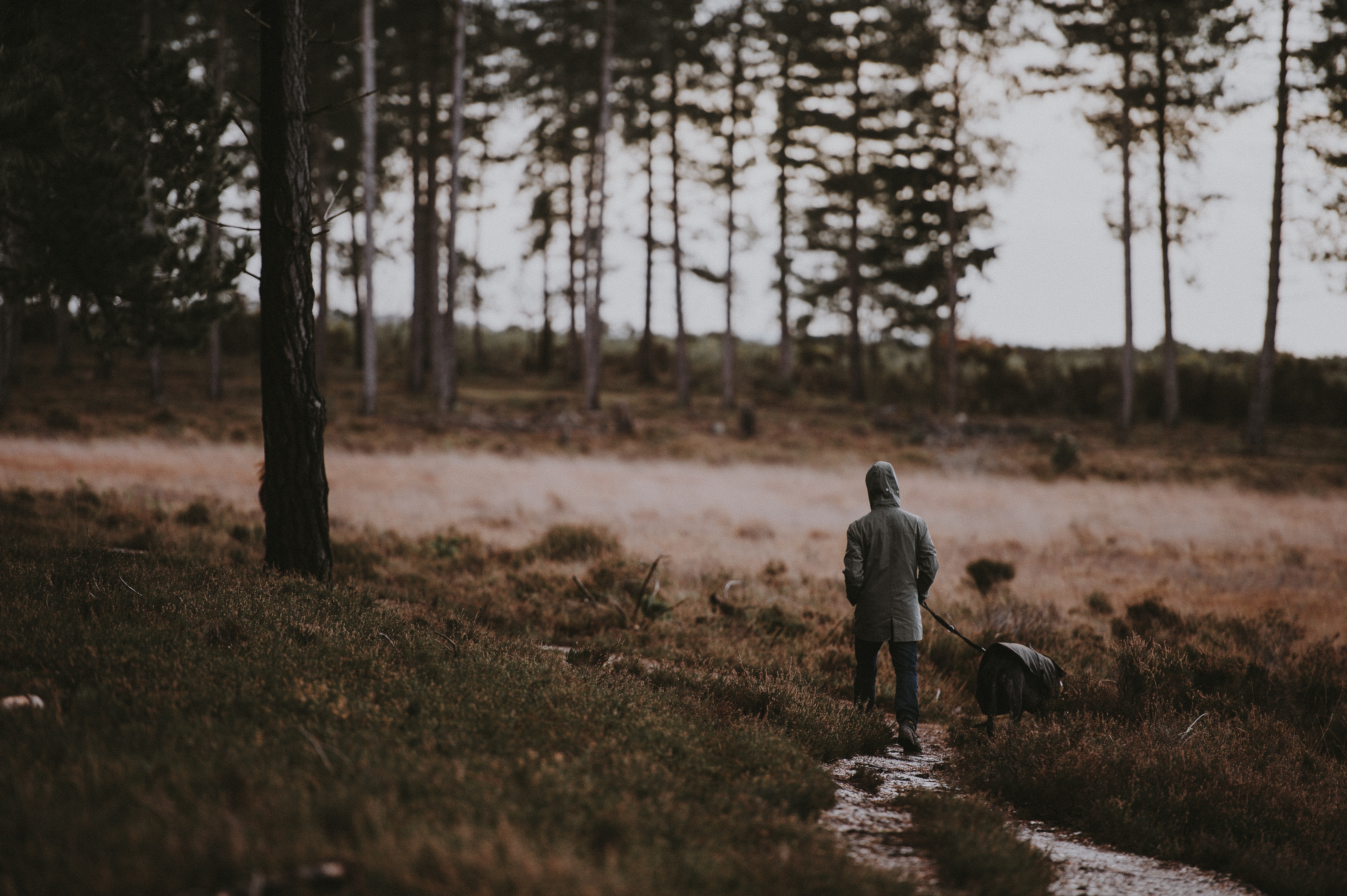 annie-spratt-Y6fBjQO5vUQ-unsplash