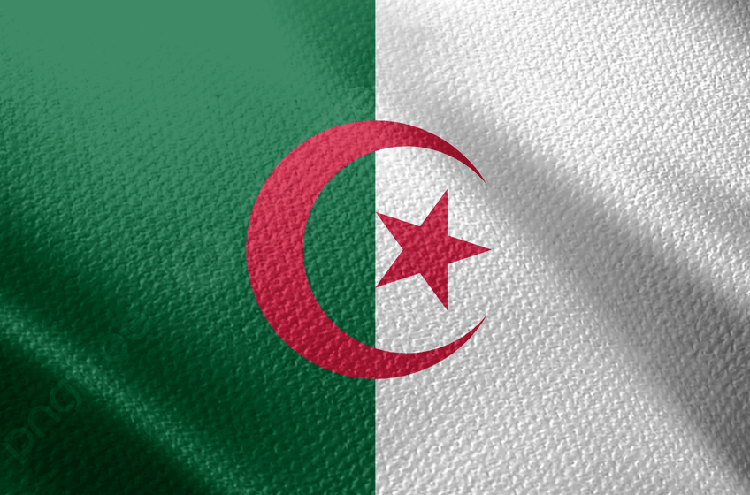 Algérie : on sait quand Brahim Hemdani va livrer sa première sélection, tant attendue