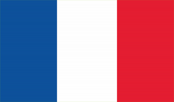 La France prend la 1ère place du classement FIFA !