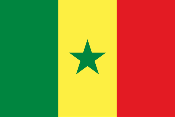 Le Sénégal exclu de la Coupe du Monde ?