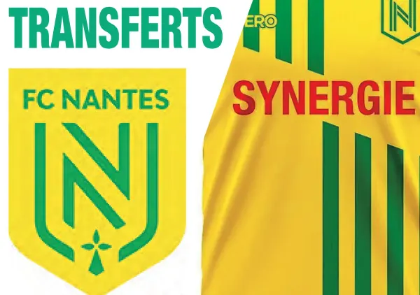 TRANSFERT-NANTES-IMAGE.png