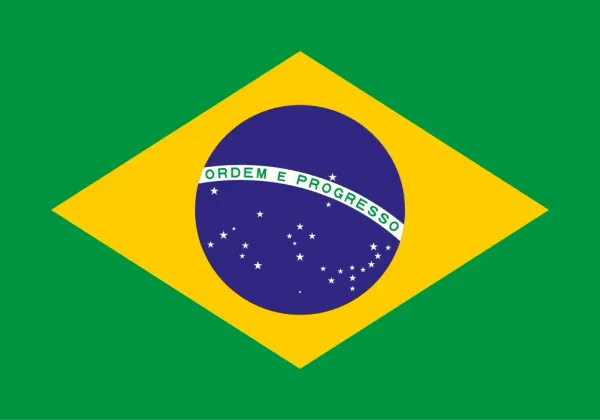 Flag_of_Brazil.svg_.png