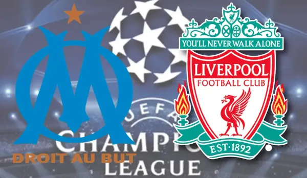LDC-OM.png