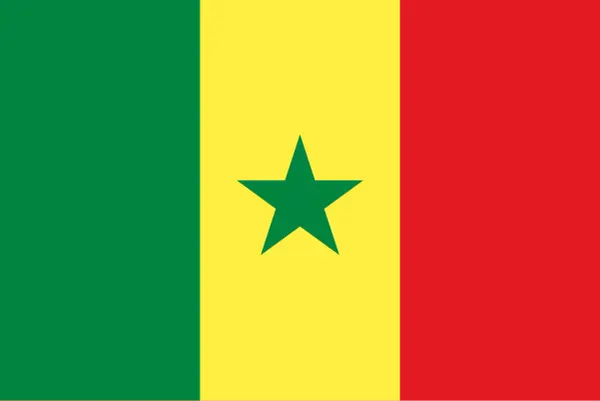Patrick Vieira tout proche de devenir le nouveau sélectionneur du Sénégal