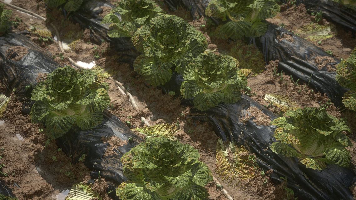 UI Redesign - Abillion