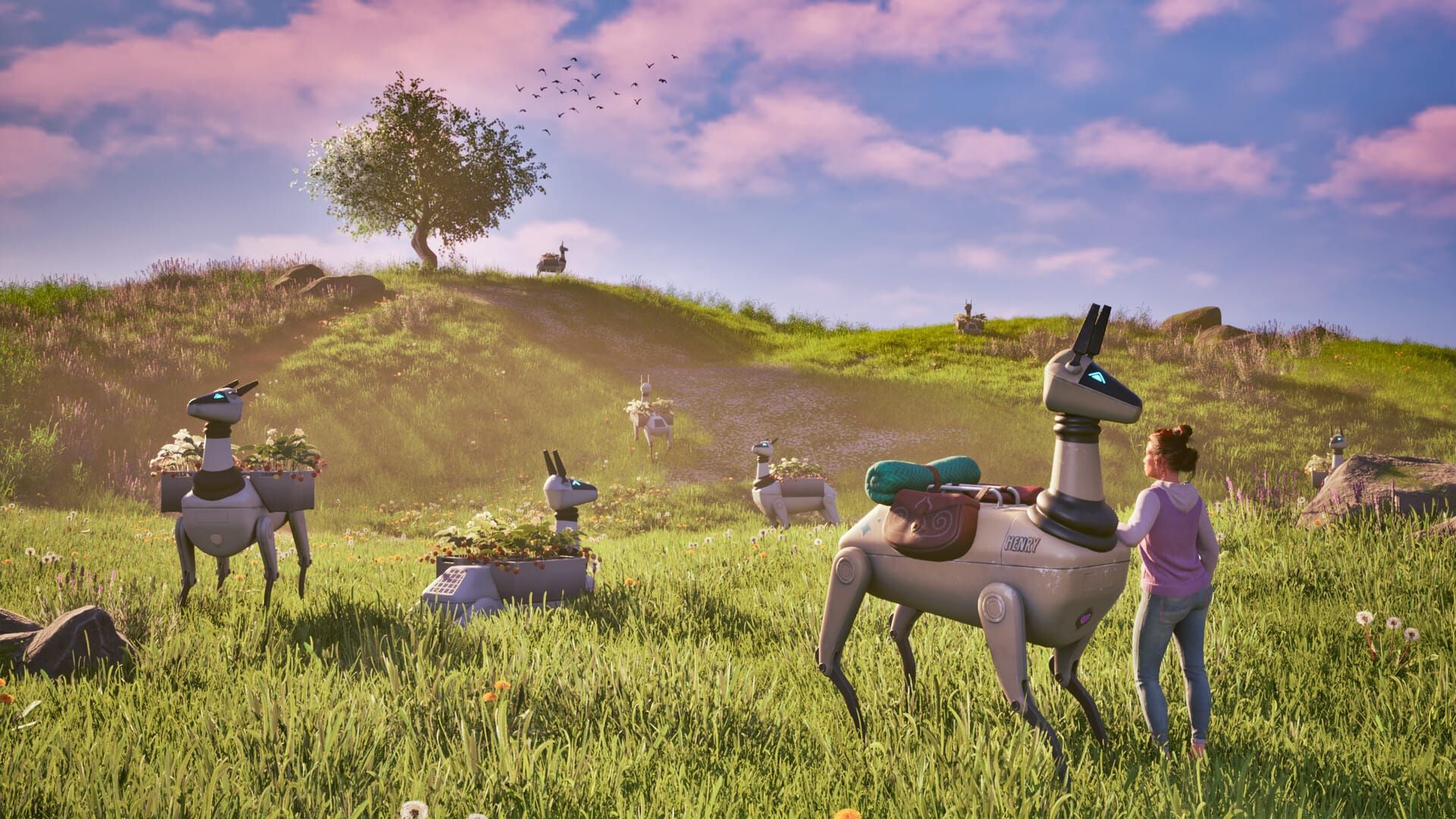 Ohmu Animal Rescue App -     UX Case Study